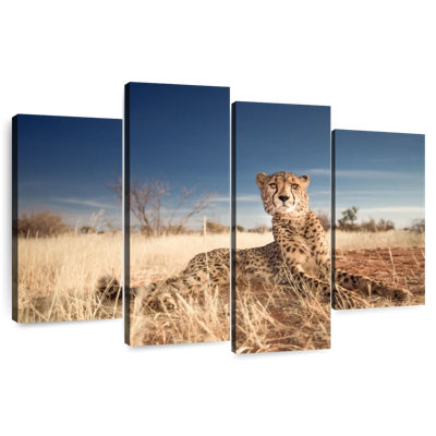 Elephant Stock Alert Cheetah