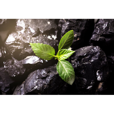 Ebern Designs Carbon Neutral Concept by T_Kimura