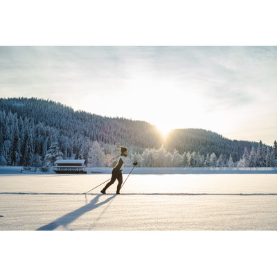 Millwood Pines Woman Cross-County Skiing in Norway by Glenn Pettersen