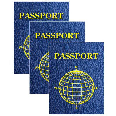Ashley Productions Blank Passports