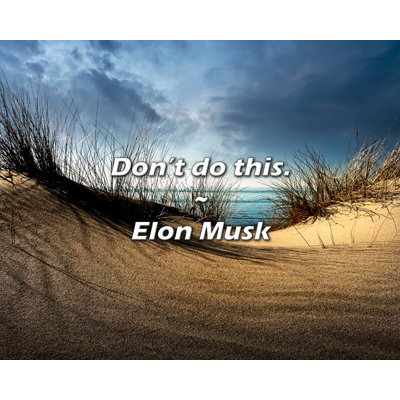 Trinx Elon Musk Quote: Don’t do this.