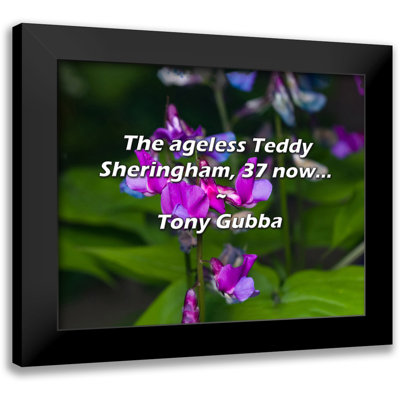 Ivy Bronx Tony Gubba Quote: The ageless Teddy Sheringham, 37 now...