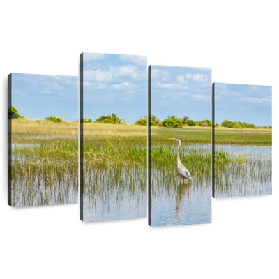 Longshore Tides Bird In Everglades National Park