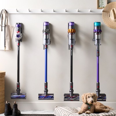 Dyson v11 Vacuum