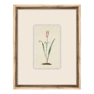 Botanist Textile