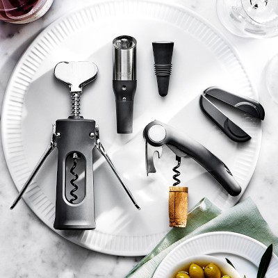 Williams Sonoma Prep Tools Wine Aerator