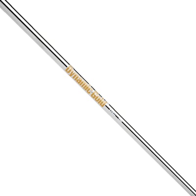True Temper Dynamic Gold Steel Wedge Shaft (.355″)