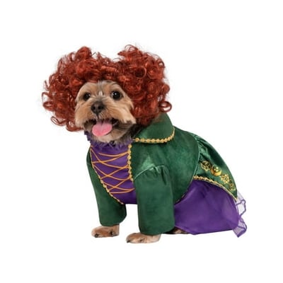 Disney Hocus Pocus Winifred Sanderson Pet Costume for Dogs or Cats by Rubies Large