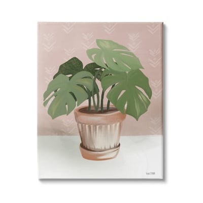 Stupell Industries Potted Monstera Plant Pink Room Still Life 30 x 40 Design by House Fenway