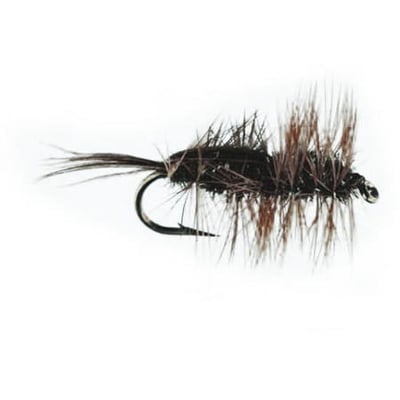 Jackson Cardinal Flies Halfback