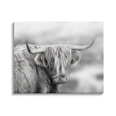 Stupell Industries Peaceful Detailed Monochrome Longhorn Cattle Portrait 48 x 36 Design by Danita Delimont