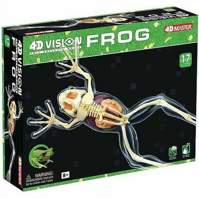 Famemaster 4D Vision Full Skeleton Frog Model