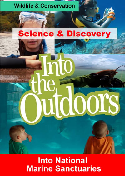 Into National Marine Sanctuaries