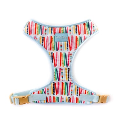 Packed Party Birthday Candles Dog Harness, Medium