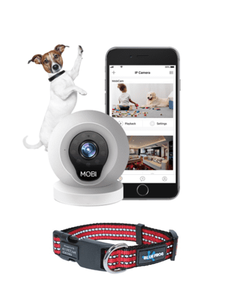 Pet Tech Starter Kit