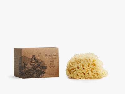 Beige Sea Sponge | Parachute