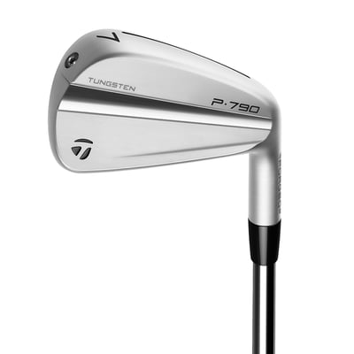 TaylorMade Men’s 2023 P790 Irons #4-PW True Temper Dynamic Gold 105 X-Stiff Right