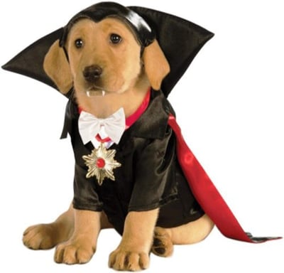 Rubies Costume Classic Movie Monsters Collection Pet Costume Medium (Pack of 1) Dracula