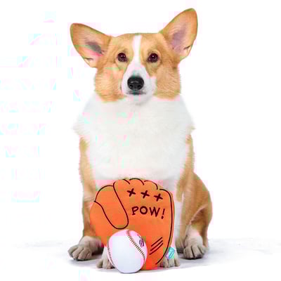 Licensed Character Peanuts Baseball Glove and Ball Dog Toy, Multi - Explore this product in more detail!
