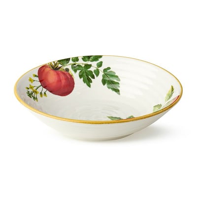 Certified International 4-pc. Pomodoro Pasta Bowl Set