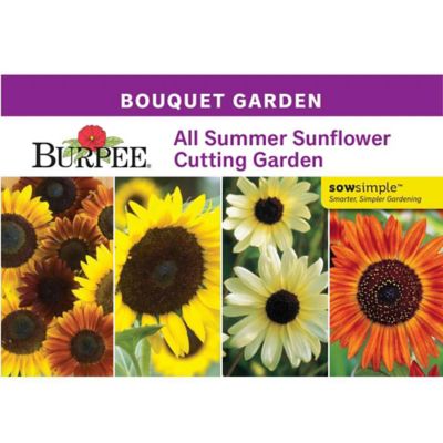 Burpee Ss All Summer Cutting Garden