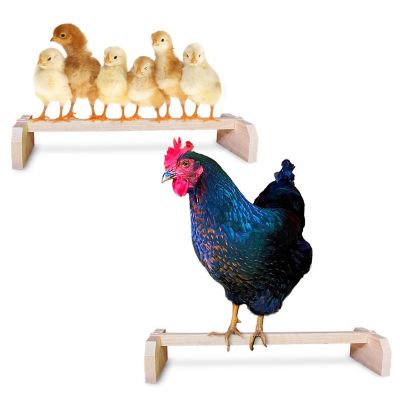 Backyard Barnyard Chicken Roosting Bar Perches for Poultry Coop or Chick Brooder, 2-Pack