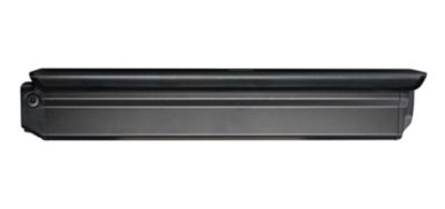 Young Electric E-Daily Battery
