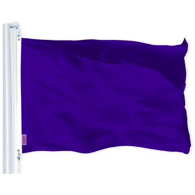 G128 6-ft W x 4-ft H Solid Violet Color Flag Polyester one_size | FG-20VT-5P2