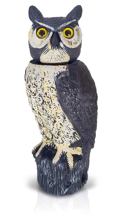Dalen Natural Enemy Scarecrow Sol-R Action Owl Decoy one_size | SRHO-4