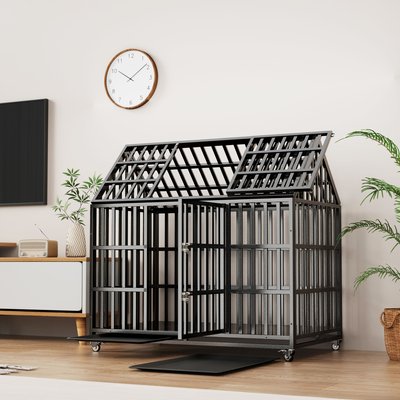 5019274529