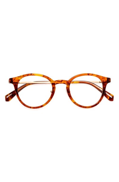 eyebobs Golden Age 45mm Round Reading Glasses in Orange Agate /Gold Temples at Nordstrom, Size +4.0