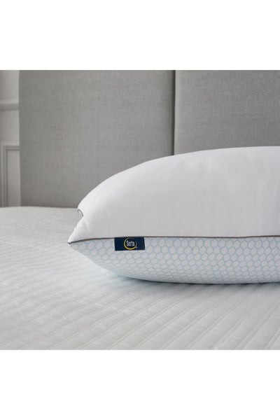 BLUE RIDGE HOME FASHIONS 2pk Serta 233 Thread Count Summer & Winter White Goose Feather Bed Pillow at Nordstrom Rack, Size King