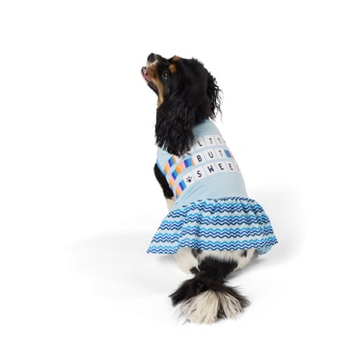 Top Paw Salty Sweet Dress, Size: XS | PetSmart