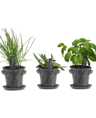 Herb Growing Kit - Grow an Indoor Garden, Herb Kitchen Windowsill - Non GMO Seeds, Fresh Organic Basil, Chives, Sage - Rustic Set of Planters with Fiber Soil - Herbs Growing Starter Set