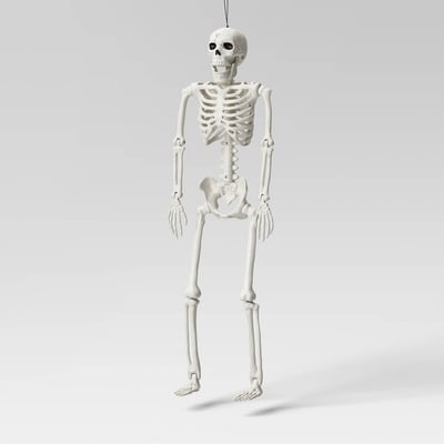 24" Posable Skeleton Halloween Decorative Mannequin - Hyde and EEK! Boutique™: Realistic, Indoor/Outdoor Display