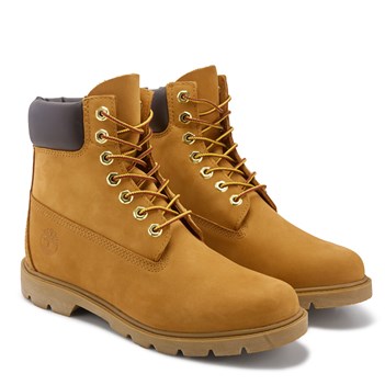 Men's 6" Padded Collar Waterproof Boot